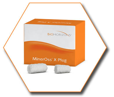 MinerOss X Plug